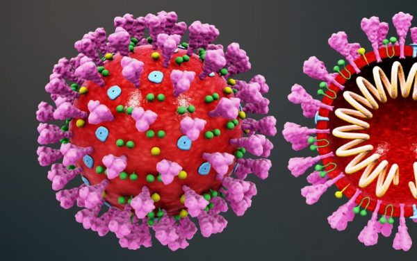 3D_medical_animation_coronavirus_structure-1024x643-1